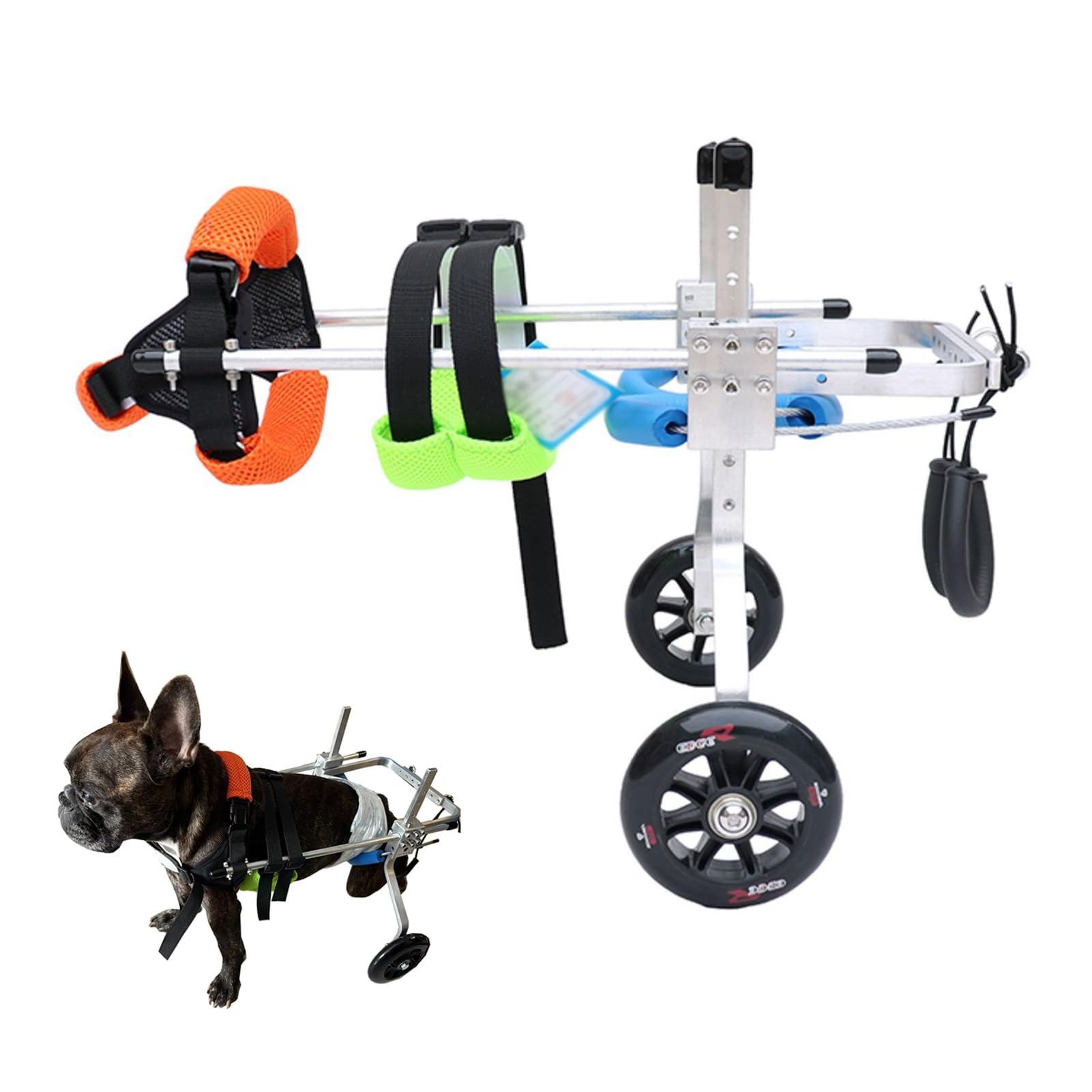 Silla de Ruedas para Perros y Gatos de Razas pequeñas y Medianas, Carrito de Ayuda para la Movilidad de 2 Ruedas, Remolque de Bicicleta para Mascotas, Carrito para Patas traseras de 18 a 27