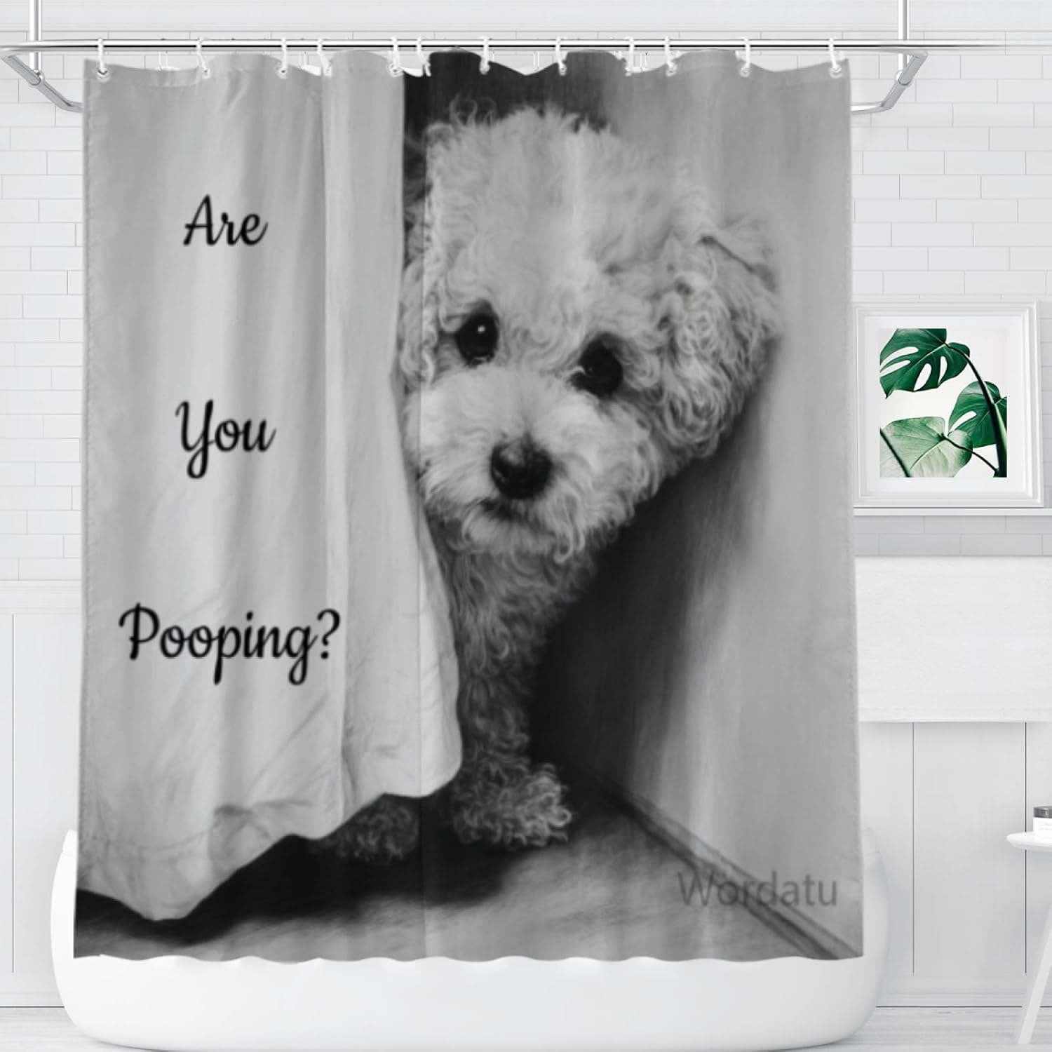Bichon Frise Shower Curtain Funny are You Pooping Black and White Bath Curtain Bathroom Decor Animal Toilet Resistant Fabric with 12 Hooks 72x72