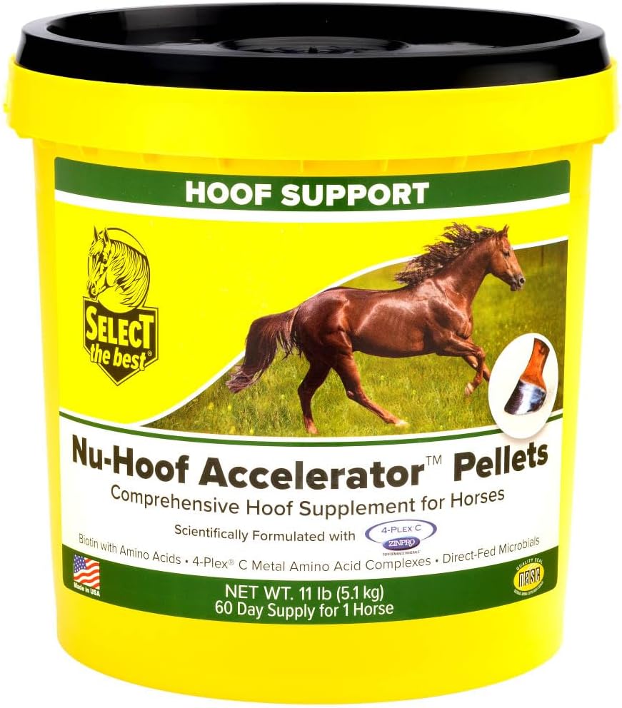 RICHDEL 784299591103 Nu-Hoof Accelerator Hoof & Coat Support for Horses, 11 lb