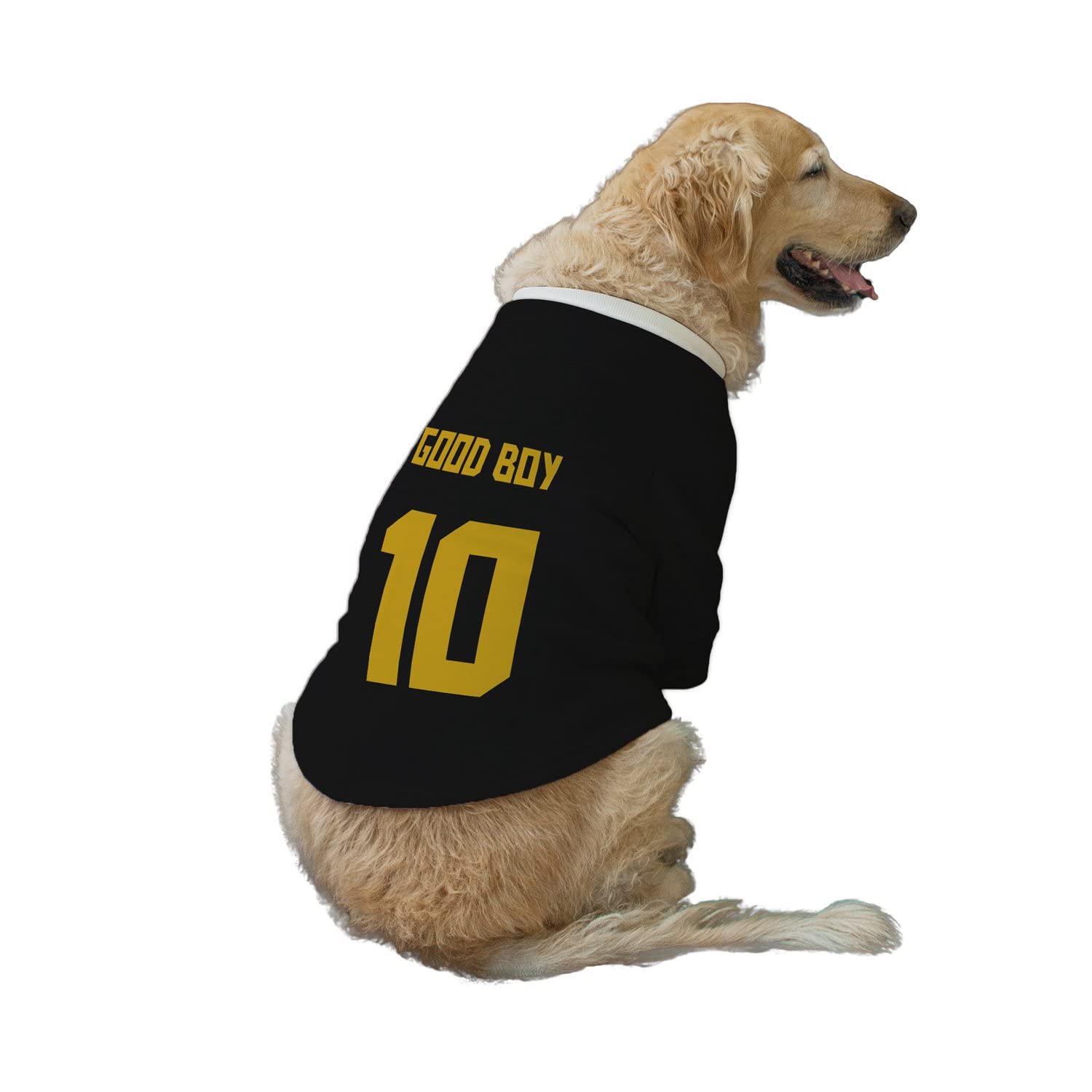 Ruse Pet Good Boy No.10 Printed Round Neck Full Sleeves Technical Dog Jacket for Dog Clothes Winter Apparel Gift for Dogs.Jade Black/XX-Large (Full Grown Saint Bernard, Great Dane etc.) (B09MNK35LW) Amazon Price History, Amazon Price Tracker