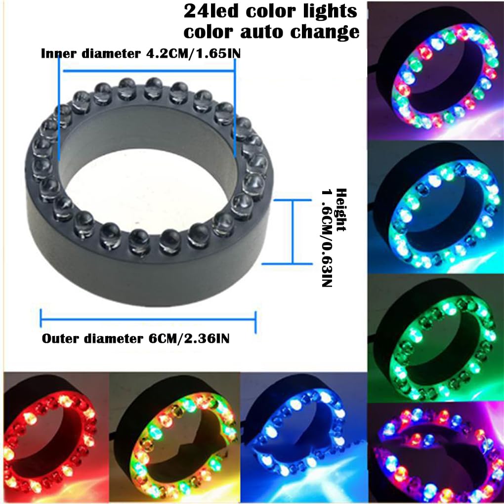 View 6