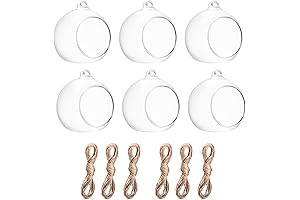 Graceful Airplant Holders: A Touch of Nature for Any Ambiance