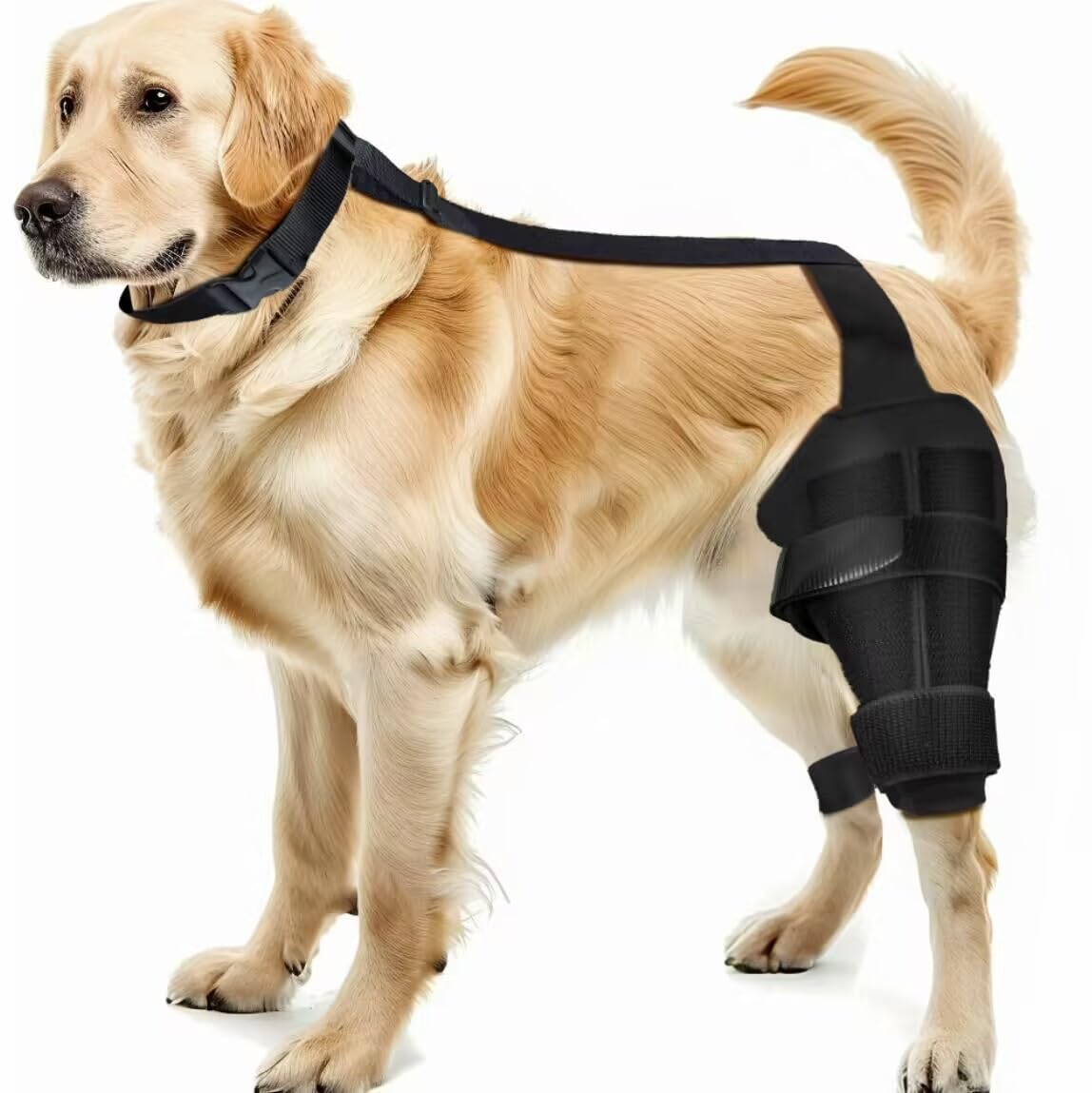 iFunteckyDog Knee Leg Brace - Dog Knee Brace for Torn ACL Hind Leg, Dog Leg Braces for Back Leg & Front Leg, ACL Tear Leg Support, Comfortable and Adjustable, Size M