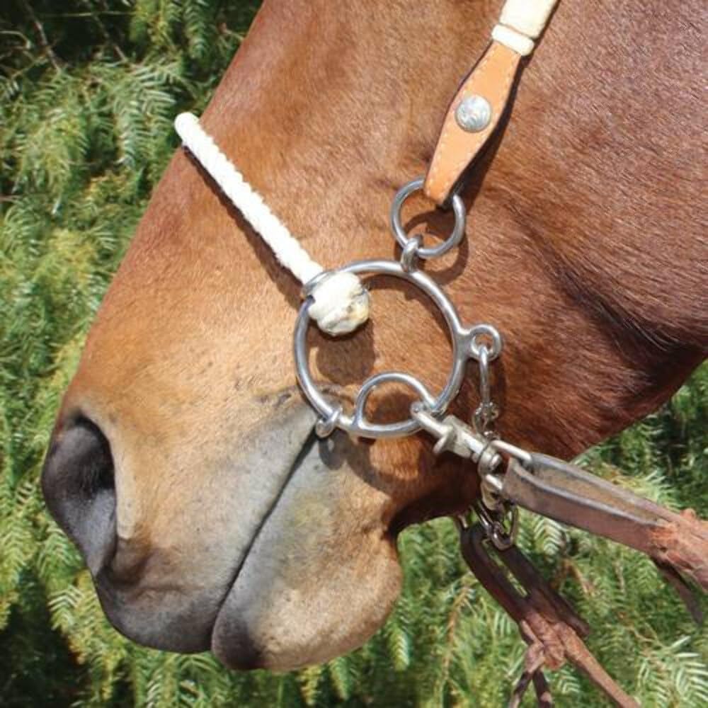 EL CHARRO Leather Horse Headstall, Cabezadas Charras De Cuero (Brown)