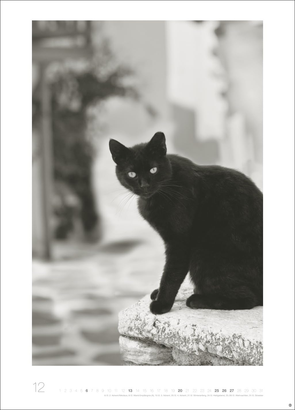 Cats Edition Kalender 2026: Elegante Samtpfoten in schwarz-weiß in einem XXL-Kalender. Tierkalender 2026 im Großformat. Hochwertiger großer Fotokalender für Katzenfans.