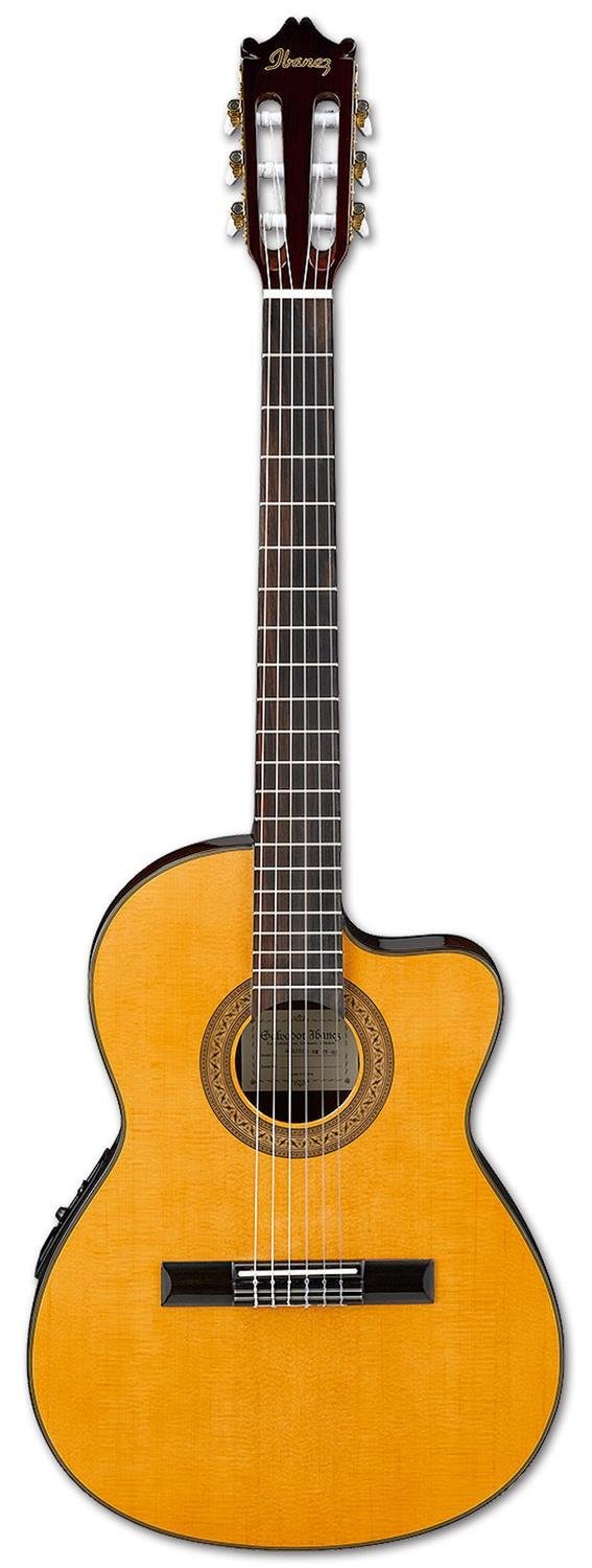 Ibanez GA6CE Nylon String Cutaway Classical Guitar Musique Dépôt