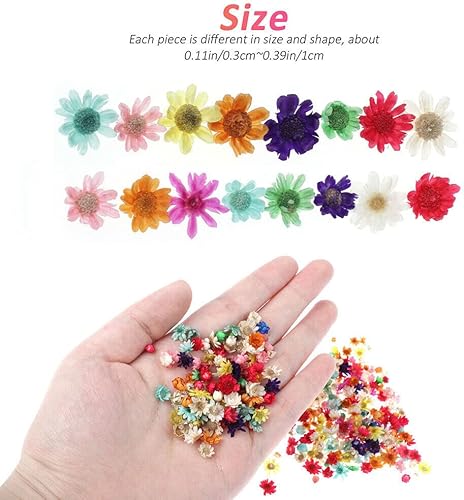 Miniatura 4 de 1420 hojas de flores secas reales prensadas para resina epoxi, fabricación de joyas, bricolaje de uñas