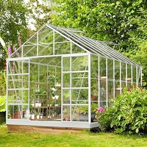 MELLCOM 10x 16 Outdoor Aluminum and Polycarbonate Greenhouse with Adjustable Roof Vent and Sliding Door for Backyard Garden in Winter