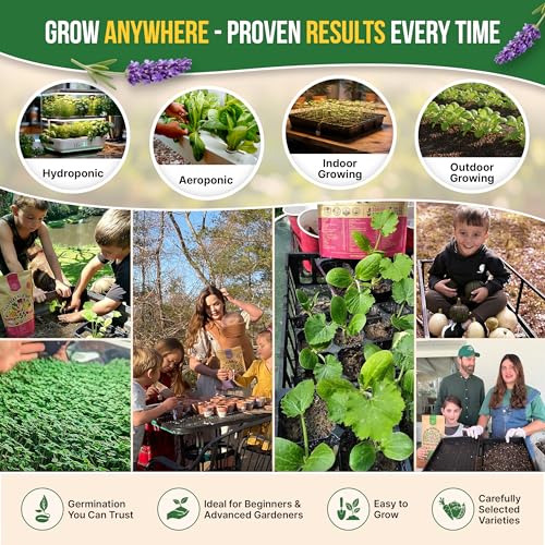 Organo Republic 18 Culinary Herbs Seeds Variety Pack - 10,180+ Heirloom, Non-GMO, Herbs Seeds for Outdoor and Indoor Home Gardening, Including Rosemary, Thyme, Oregano, Mint, Basil, Parsley - Image 5