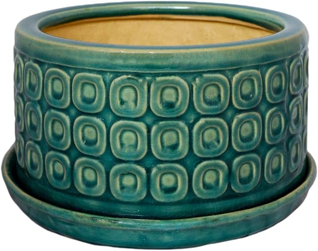 Ivyline Round Bonsai Planter in Teal - Waterproof & Durable - Contemporary Premium Glazed Decorative Indoor Ceramic Flower Pot - H38.5cm x D20cm