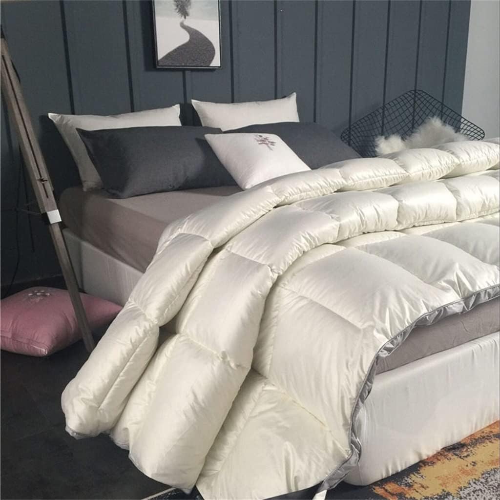 Goose Down Fiber Comforter Duvet Winter Quilt King Queen Twin Full Size(200x230cm 3kg)