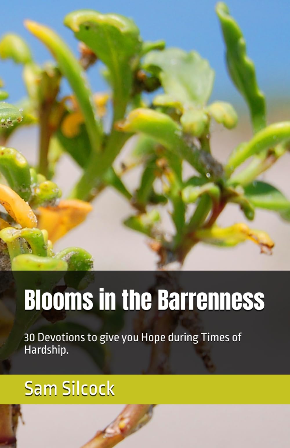 Blooms in the Barrenness: 30 Devotions to give you Hope during Times of Hardship.