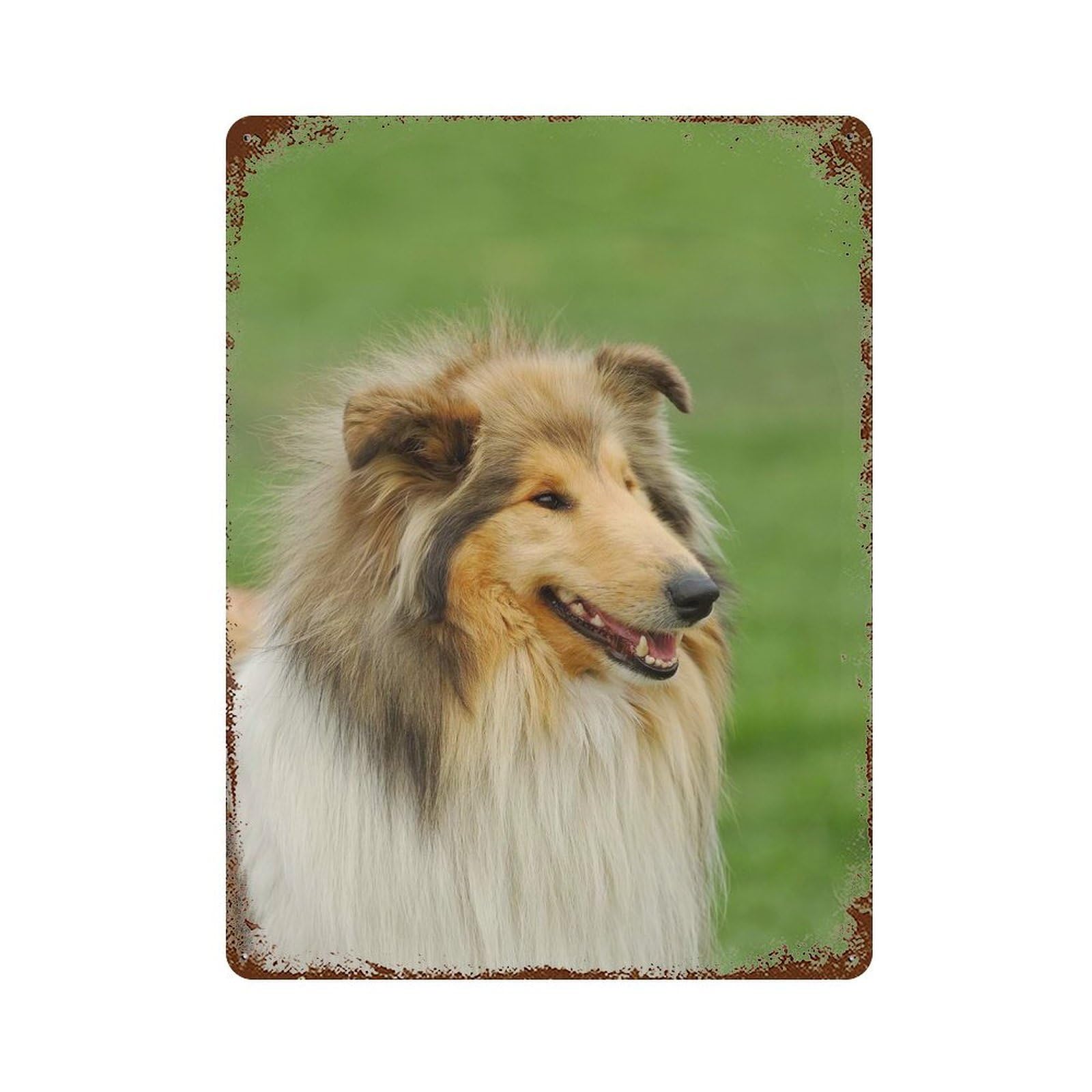 Garage Style Rough Collie Distressed Metal Wall Sign 15.7"x11.8", Decorative Metal Wall Art for Bar And Workshop