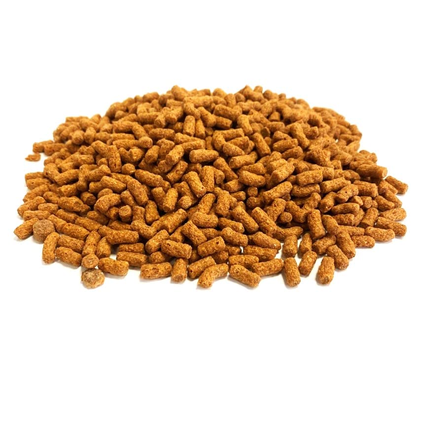 Orange Koi Pond Sticks 1kg Premium Quality Complete Food LGW