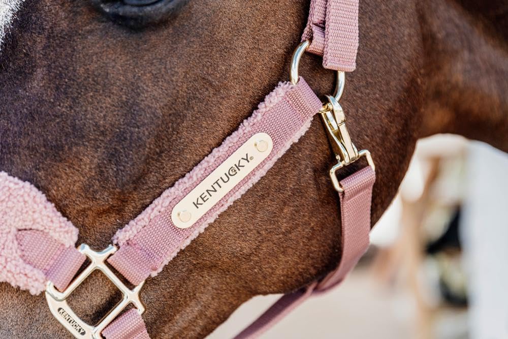 Kentucky - Teddy Fleece Halfter alt rosa Pony