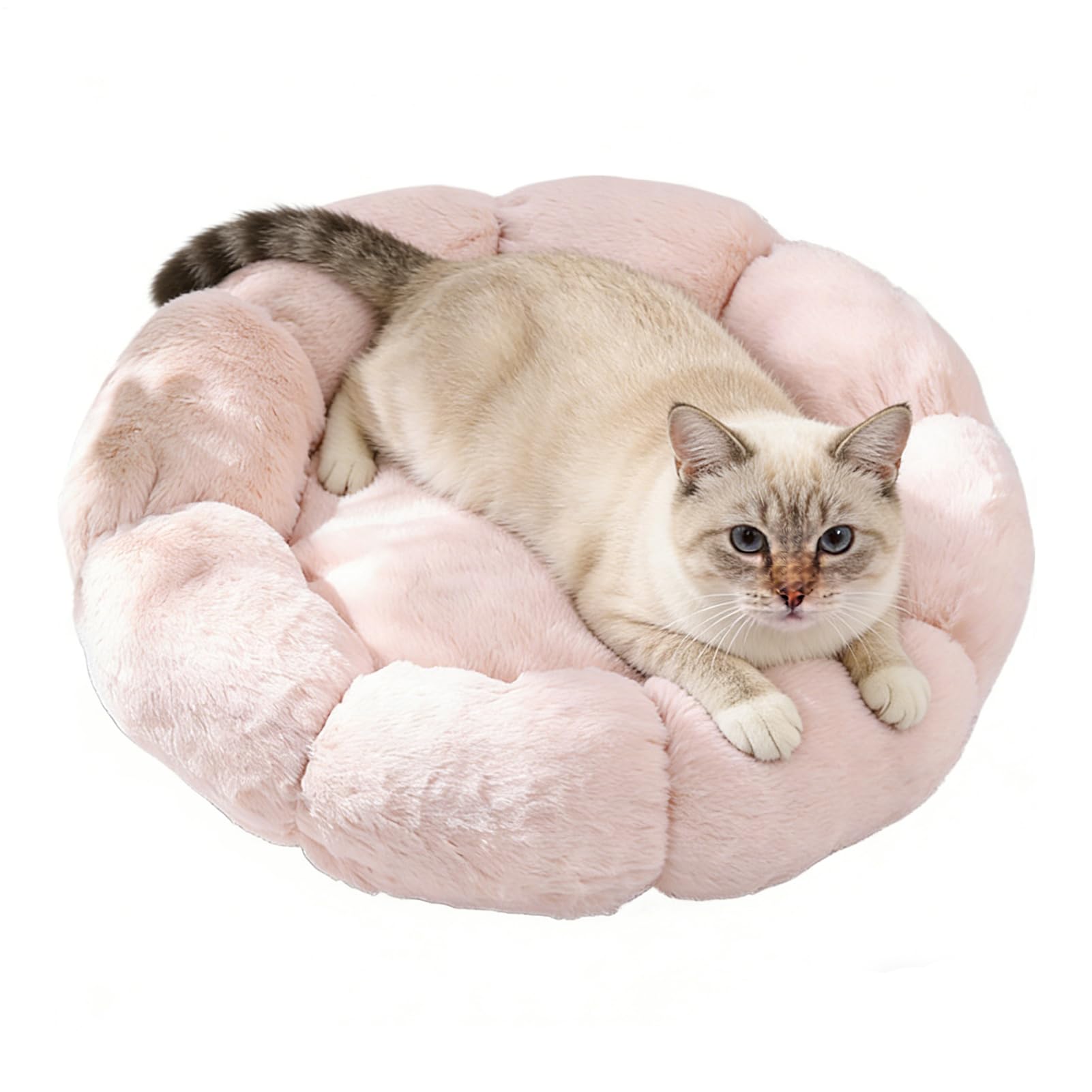 Panier rond pour chat avec base anti-dérapante contre le froid du sol