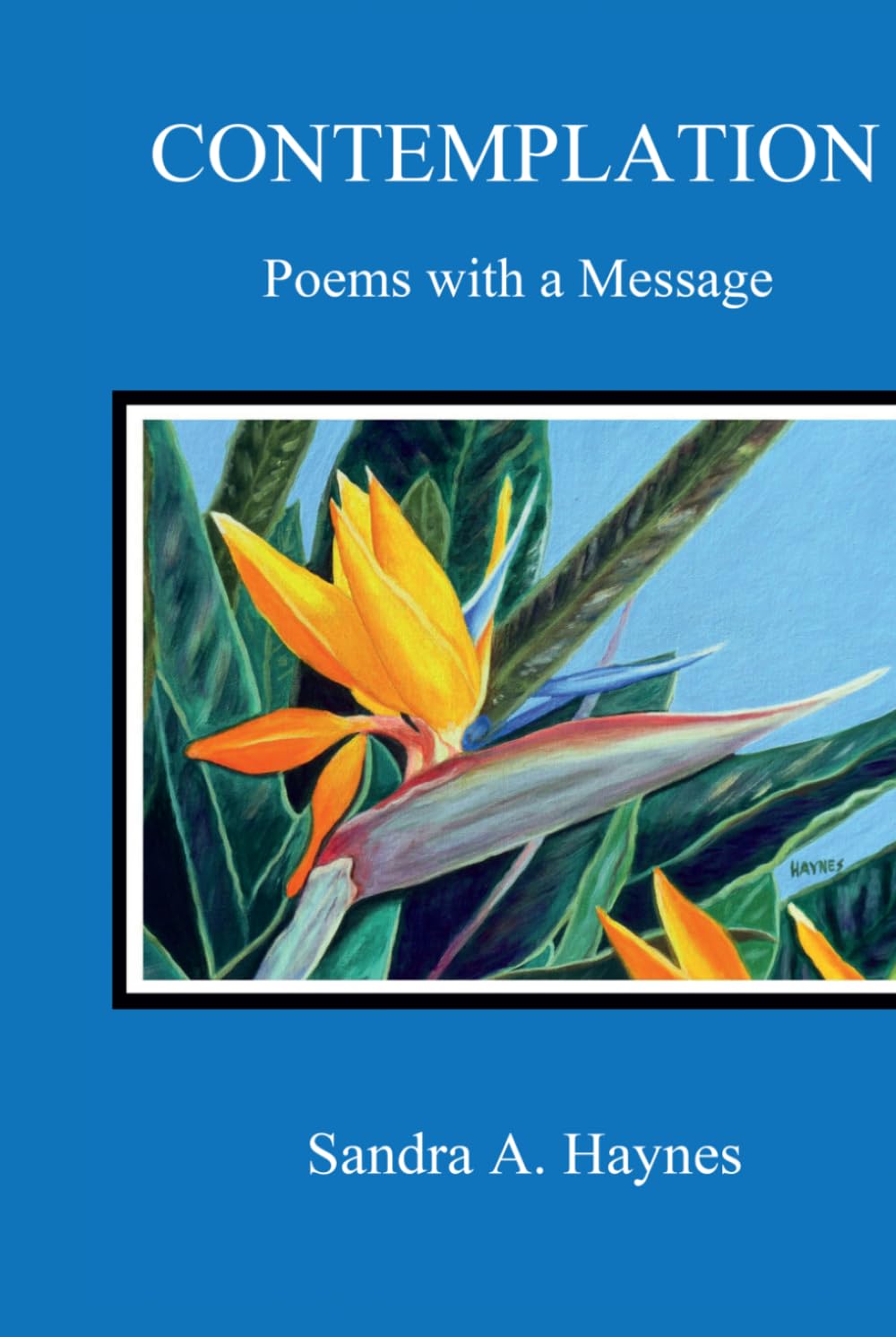 Contemplation: Poems with a Message