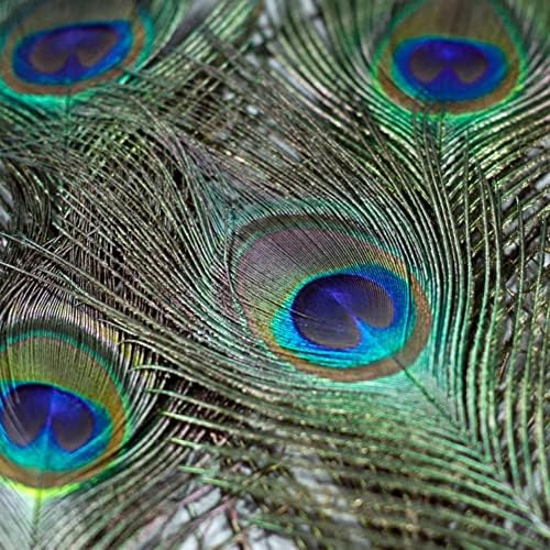 NEWONG 25pcs Peacock Feather Natural in Bulk 10-12 inch 25-30cm for Vase Craft Vase Wedding Home Party Christmas Day Decoration Peacock Feathers for Craft