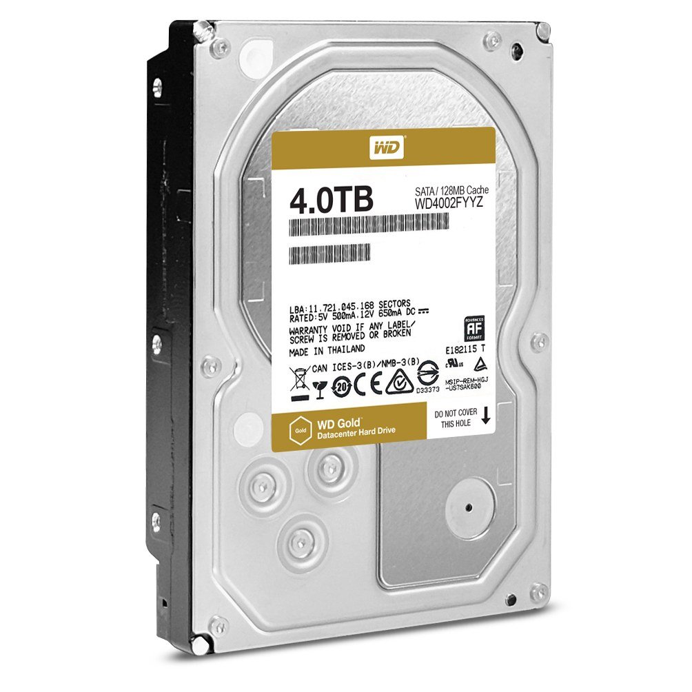 Western Digital WD4002FYYZ GOLD - Disco rigido seriale ATA