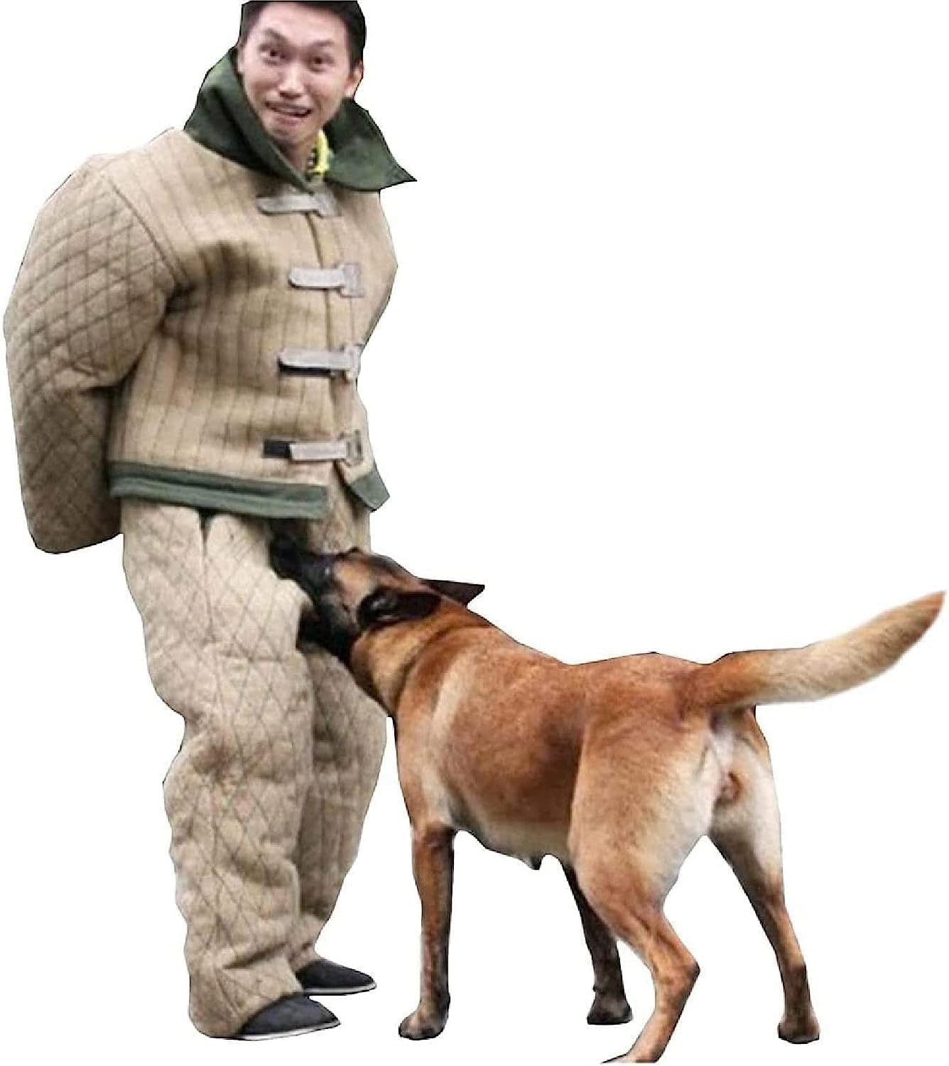 Edipets Correa Canicross Manos Libres Gris Para Perros