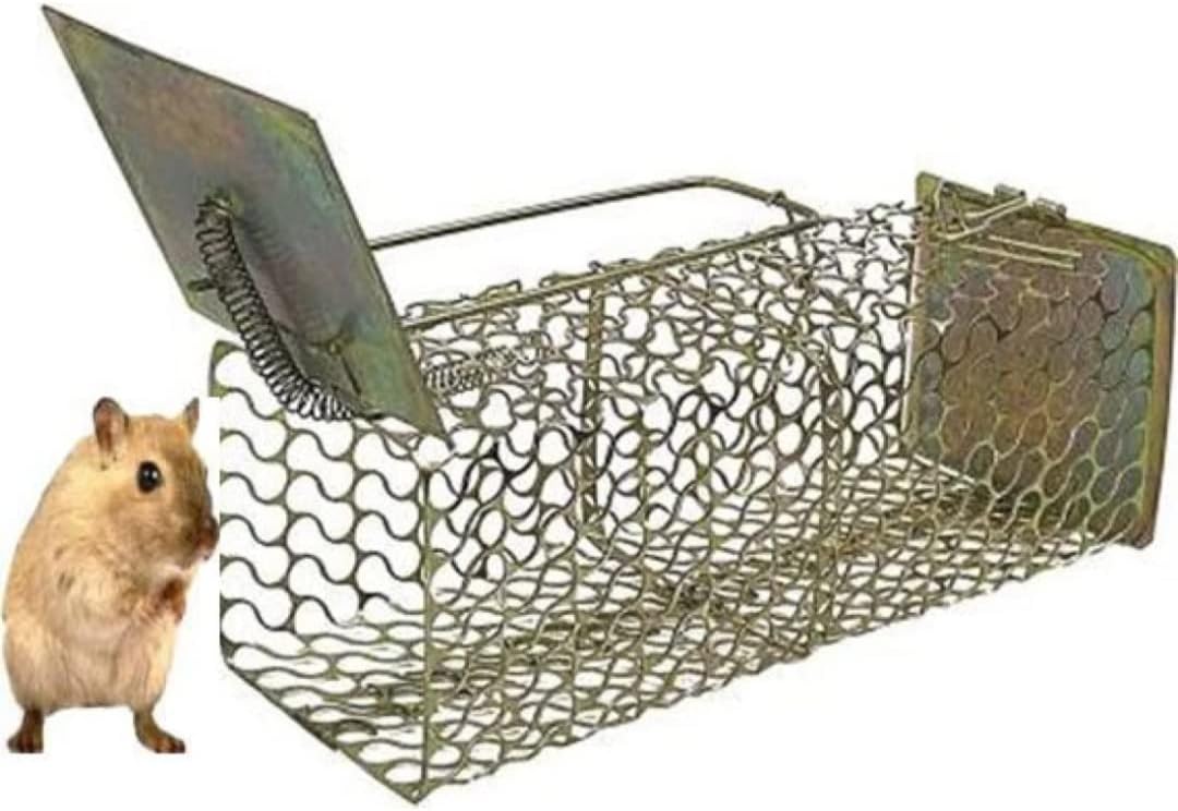 MorningVale ® Rat/Mouse/Rodent Small Trap Cage Rustic Copper (Chain Trap)
