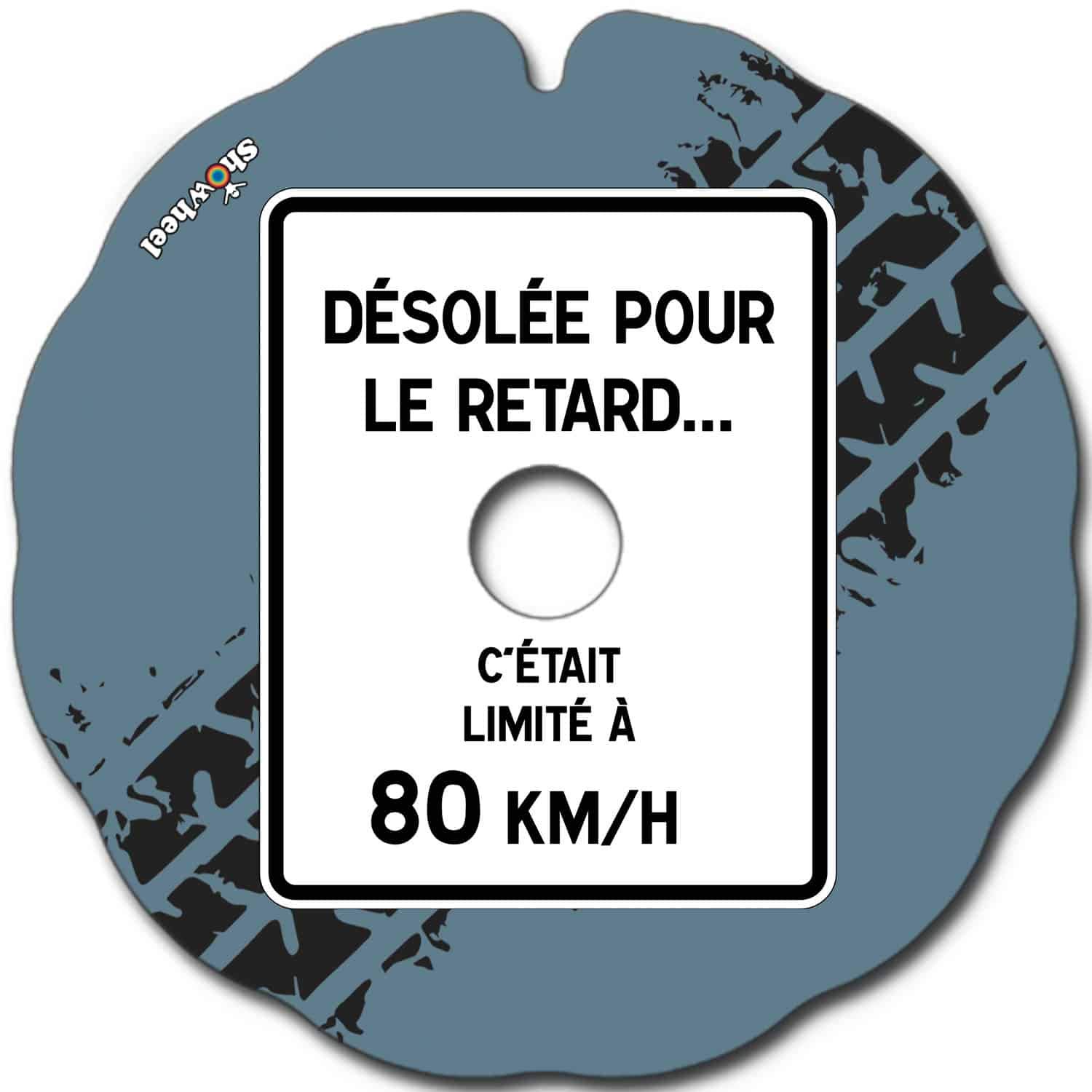 Cubre Radios Silla de Ruedas (Par) para Aro Impulsor 48,51 a 49,50 cm de Diámetro Exterior con Fijaciones Planas - Désolée Pour Le Retard