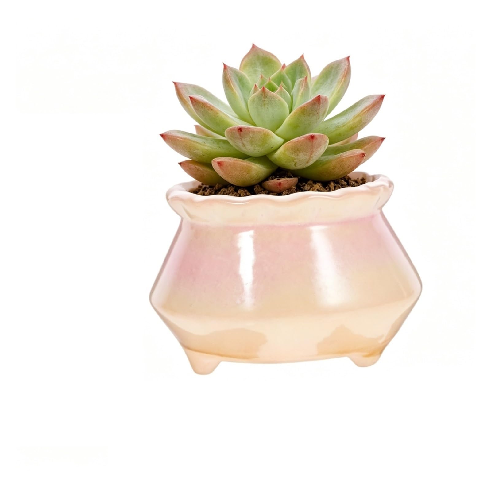 MDNIPQBAM natural Ceramic Pots With Drainage Hole Decorative Flower Planters For Indoor Succulent Plants for garden(B)