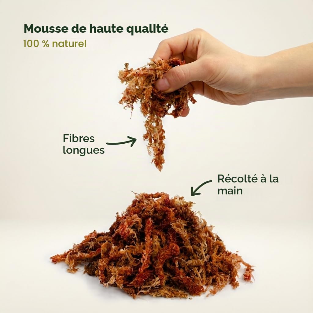 Mousse de sphaigne pour plantes d'intérieur et tuteurs, donne 10 l (1000 g)
