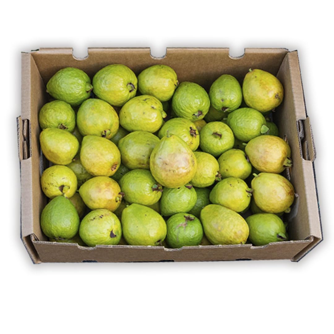 Caja 4kg Guayaba rosa o blanca - Comprar guayaba fruta entera cultivo nacional y sostenible en Castellón, Recién recolectadas, dulces y sabrosas, directas del agricultor a tu casa.