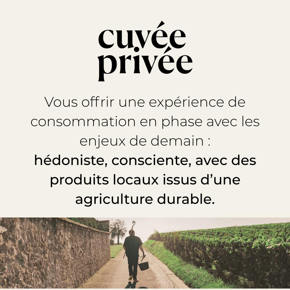 Caja de cata de vinos imprescindibles – 5 frascos de 10 cl (3 tintos, 2 blancos) | selección Francia (Burdeos, Borgoña, Alsacia, Languedoc, Côtes-du-Rhône)