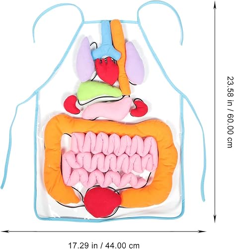 Miniatura 2 de Delantal de órgano 3D, delantal de anatomía, cuerpo humano, conciencia, herramienta educativa, juguete para el hogar, preescolar, ayuda docente,
