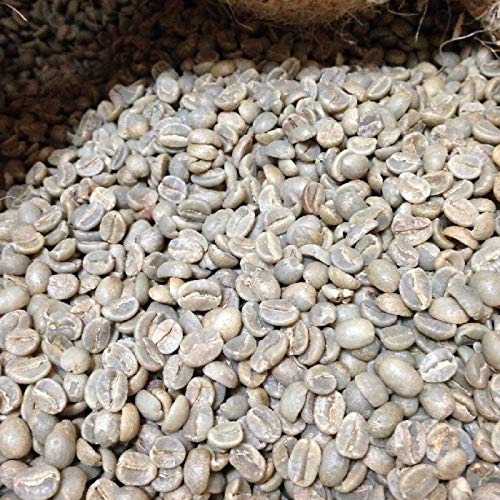 【コーヒー生豆】キリマンジャロ　タンザニア AA 5kg　 ※送料無料 コーヒー生豆】キリマンジャロ タンザニア AA 5kg ※送料無料