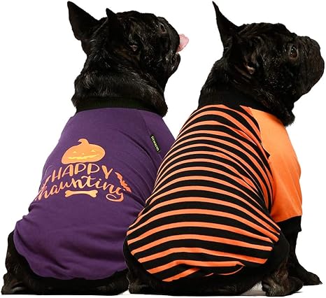 Woof pack dog apparel Clearance