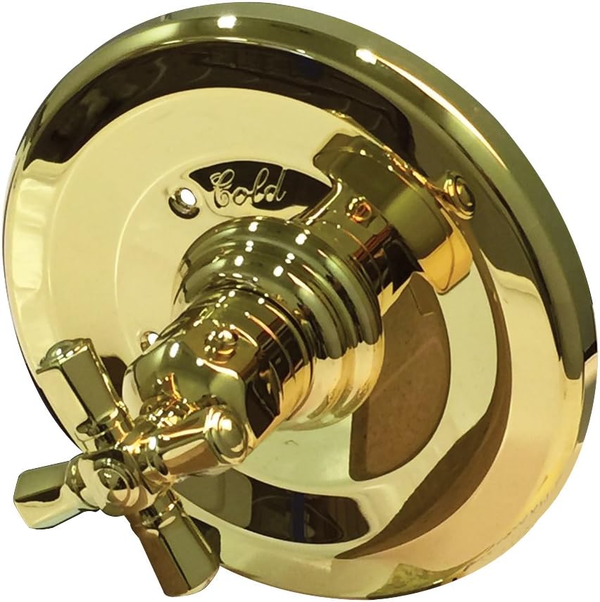 ROHL A4814XMIB Palladian Thermostatic Trim Plate w/out Volume Control