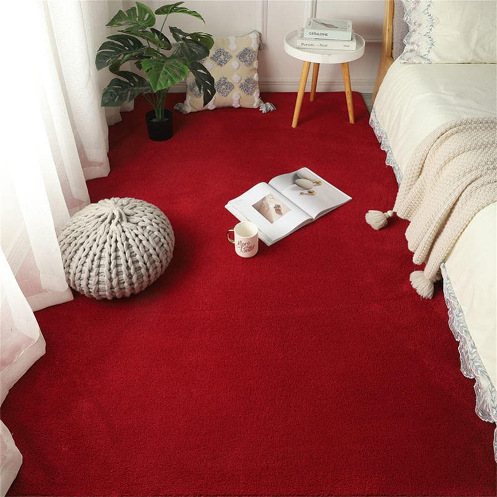 Tapis salon moderne LUNEZY Rouge23 200cm lavable doux