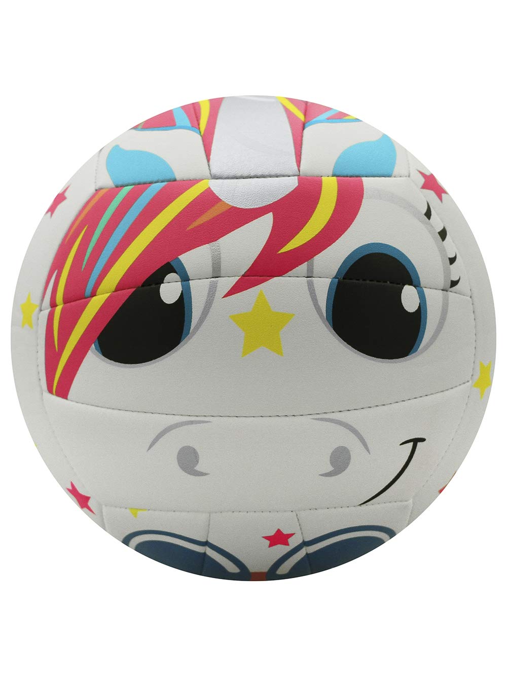 Molten Camp Volleyball