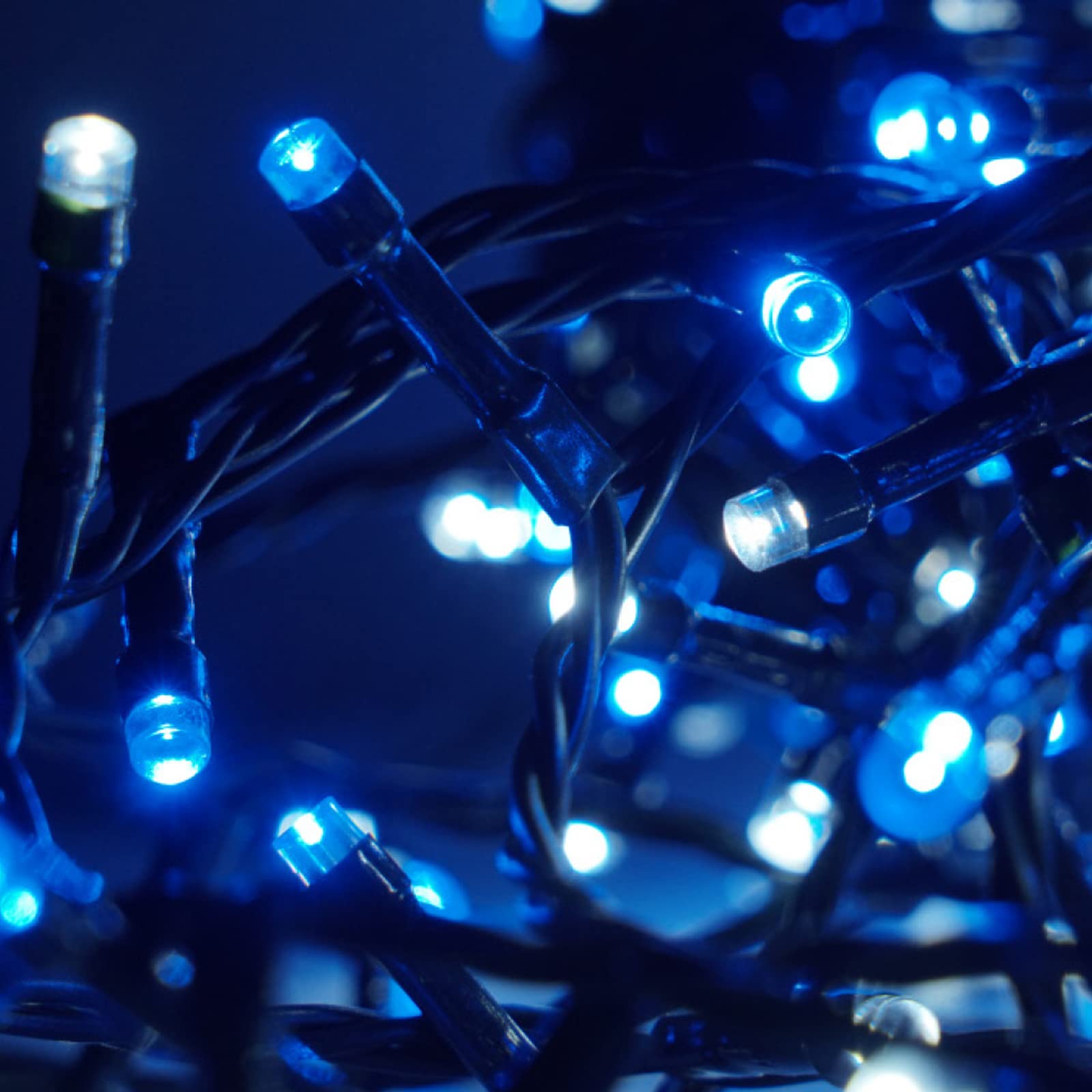 Luccika LED-Lichterkette, 8 Lichtspiele, Grünes Kabel, 31V, Innen- und Außenbereich (Kaltweiß + Blau, 50M 1000LED)
