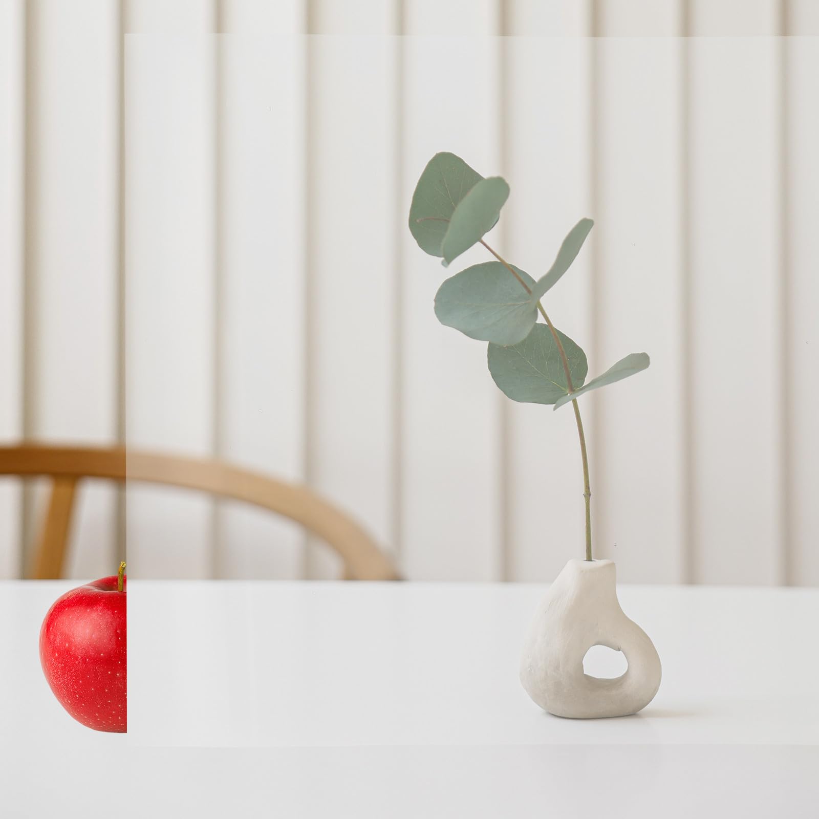 Scheda Lente Lenticolare Trasparente per S Pet | Accessorio per Prestigiatori, Effetto Invisibilità, Facile da Montare, Portatile, Resiste alla Deformazione