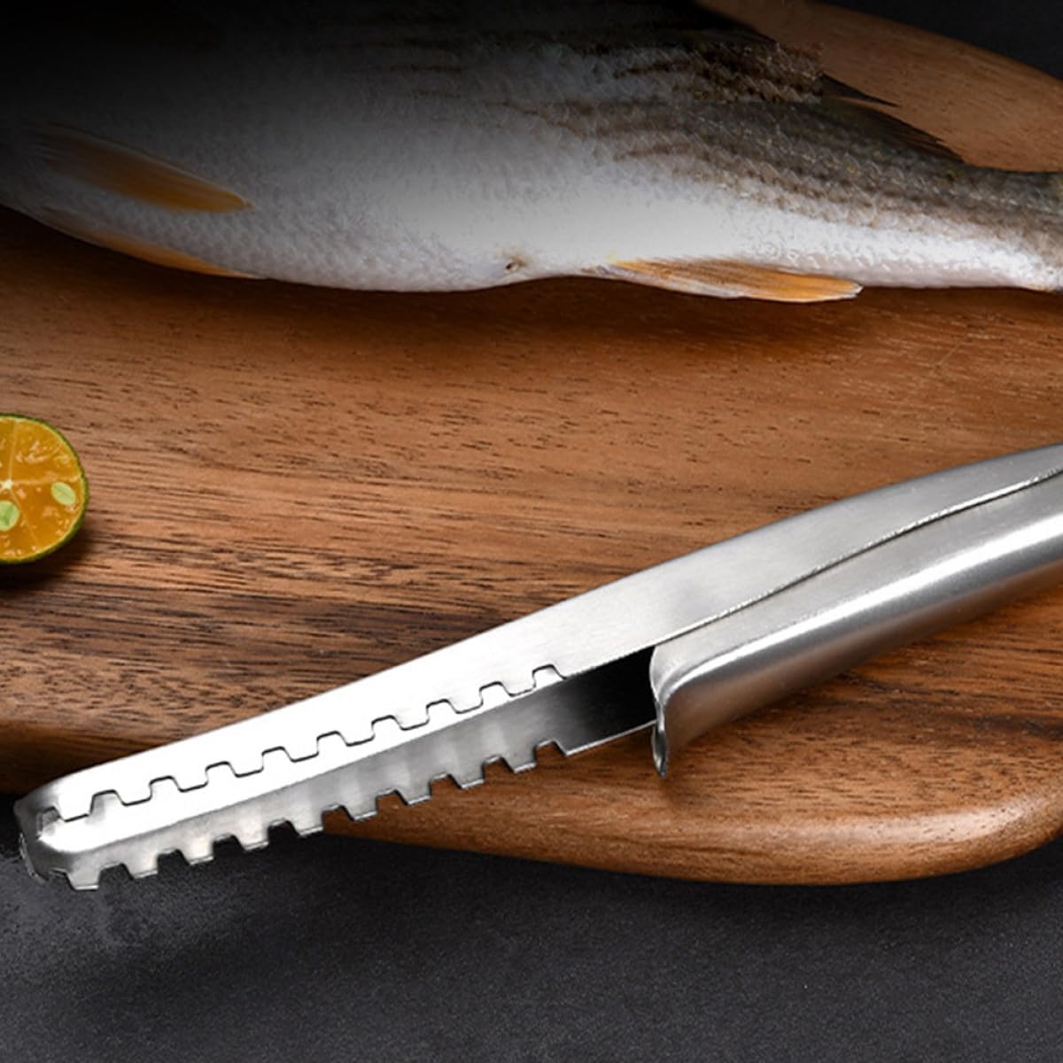 Stainless Steel Fish Scale Scraper Fish Cleaning Tool Kitchen Utensil for Home and Seafood Preparation