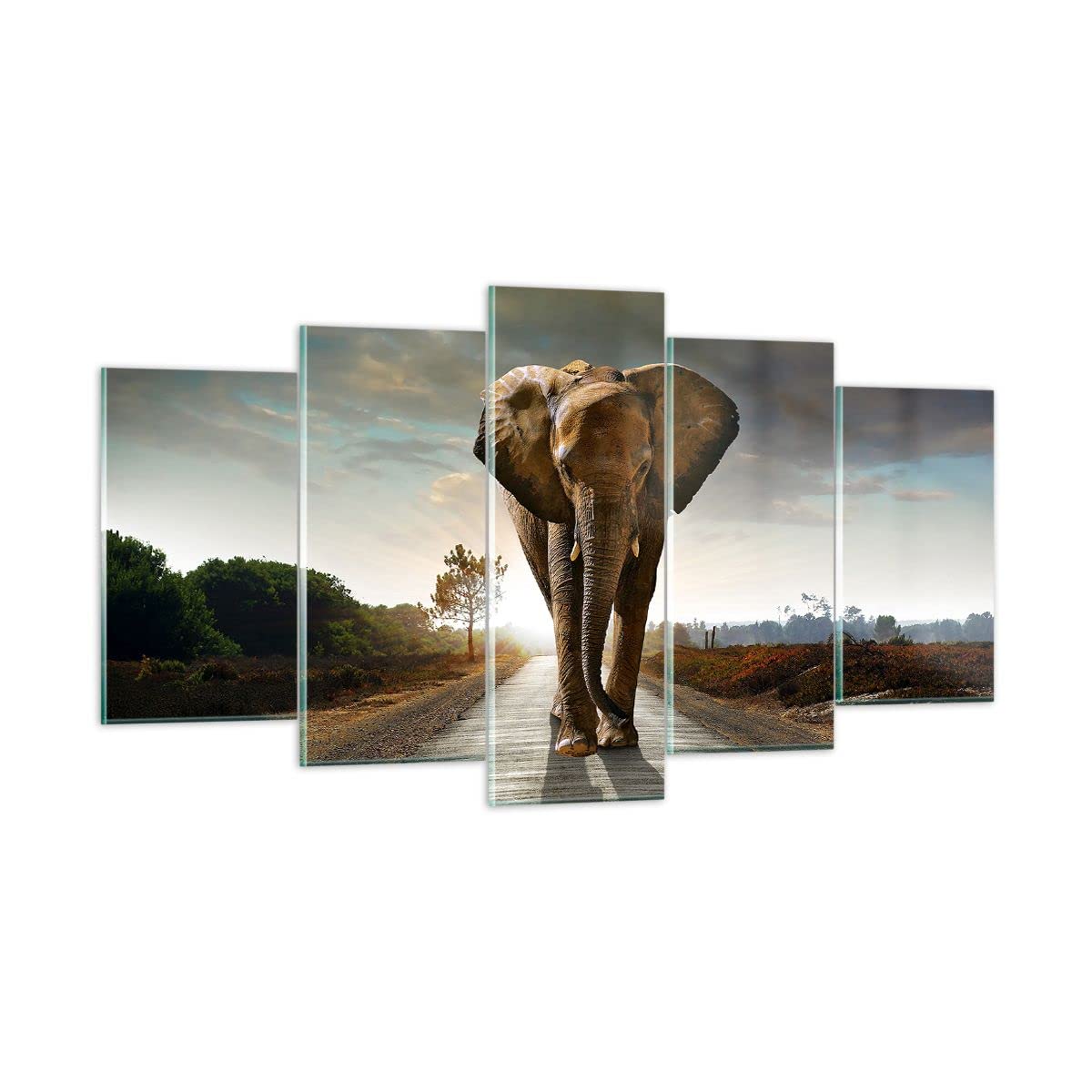 Deco Cadre Salon Elephant Route Campagne Moderne Impression sur Toile 80x120cm Image Tableau Decoration Murale Chambre Cuisine Vertical Art Wall Decor