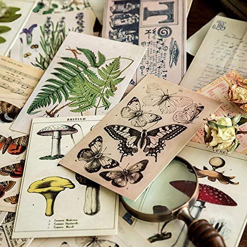Knaid Vintage Style Postcard Set, Pack Of 30 Botanical Plants Butterfly Mushroom Leaves Fruits Retro Postcards #TOP5