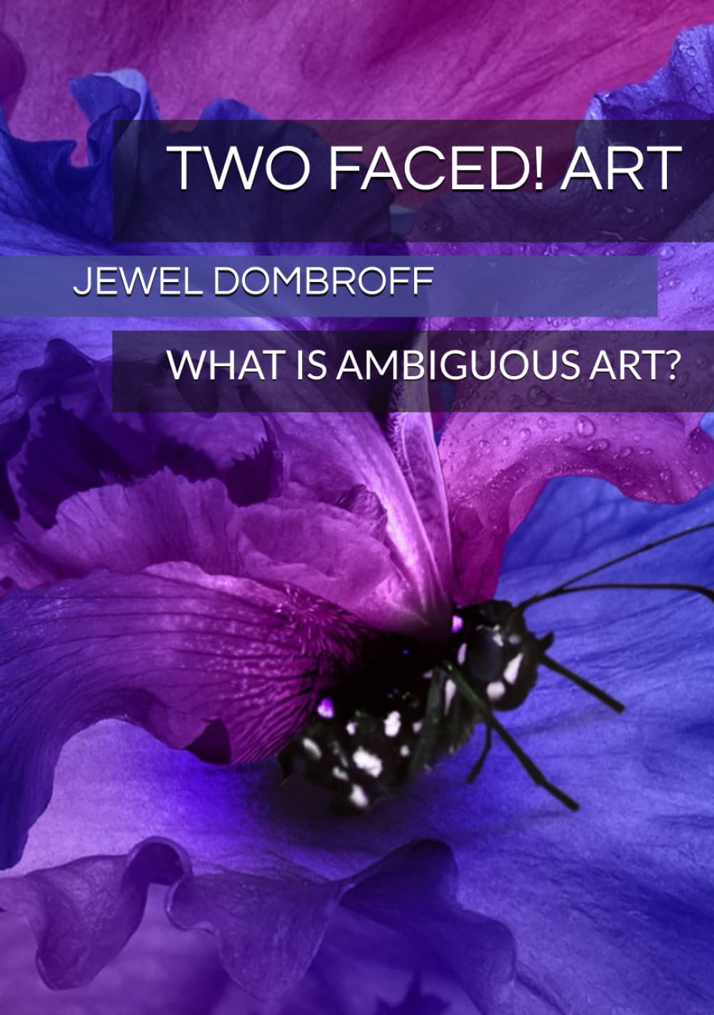 Art ambigu Two Faced decoration murale relief visuel illusions d optique geometrie salon deco
