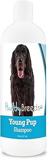 Healthy Breeds Gordon Setter Young Pup Shampoo 8 oz