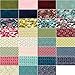 Nova Charm Pack by BasicGrey; 42-5 Inch Precut Fabric Quilt Squares