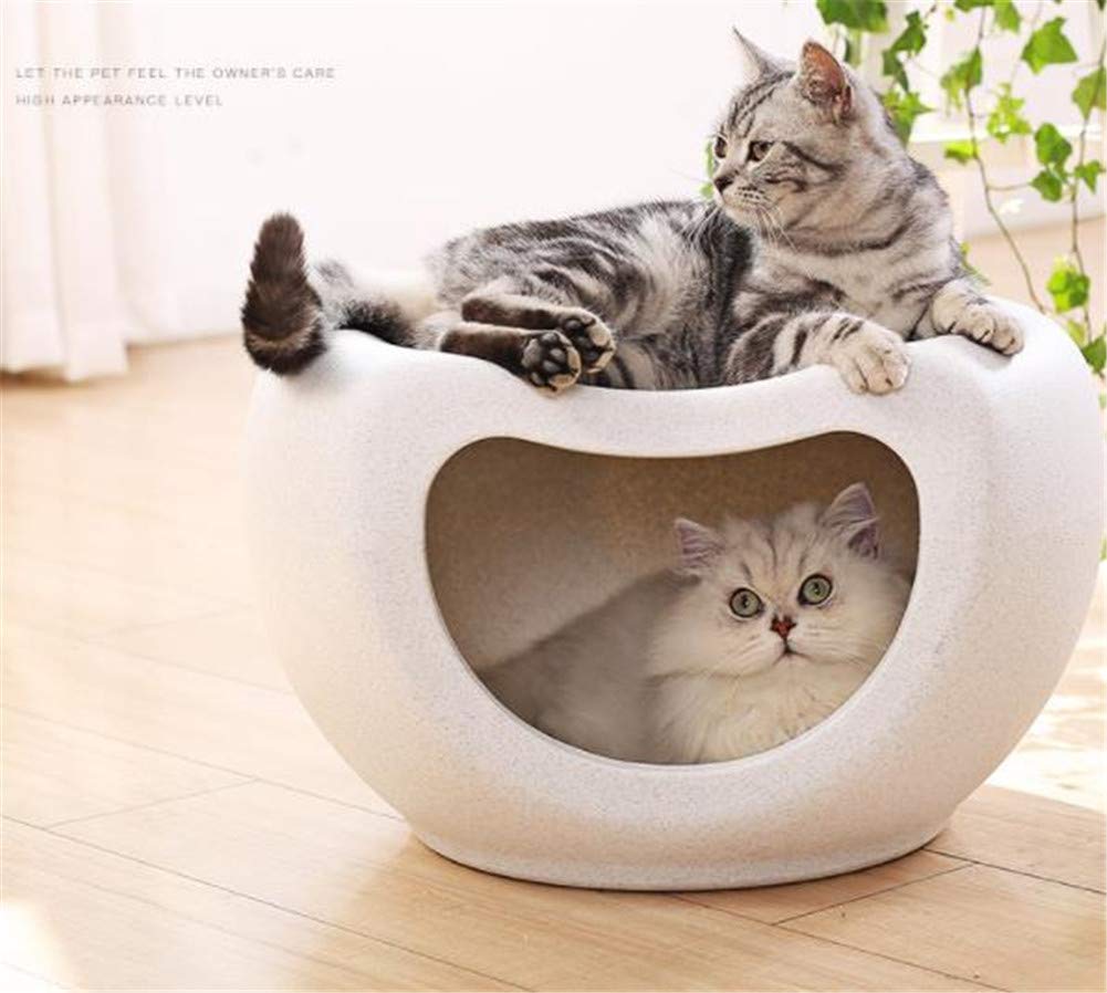 Amazon | ペットハウス 室内用 ベッド 犬 猫 タマゴ型 ドーム型