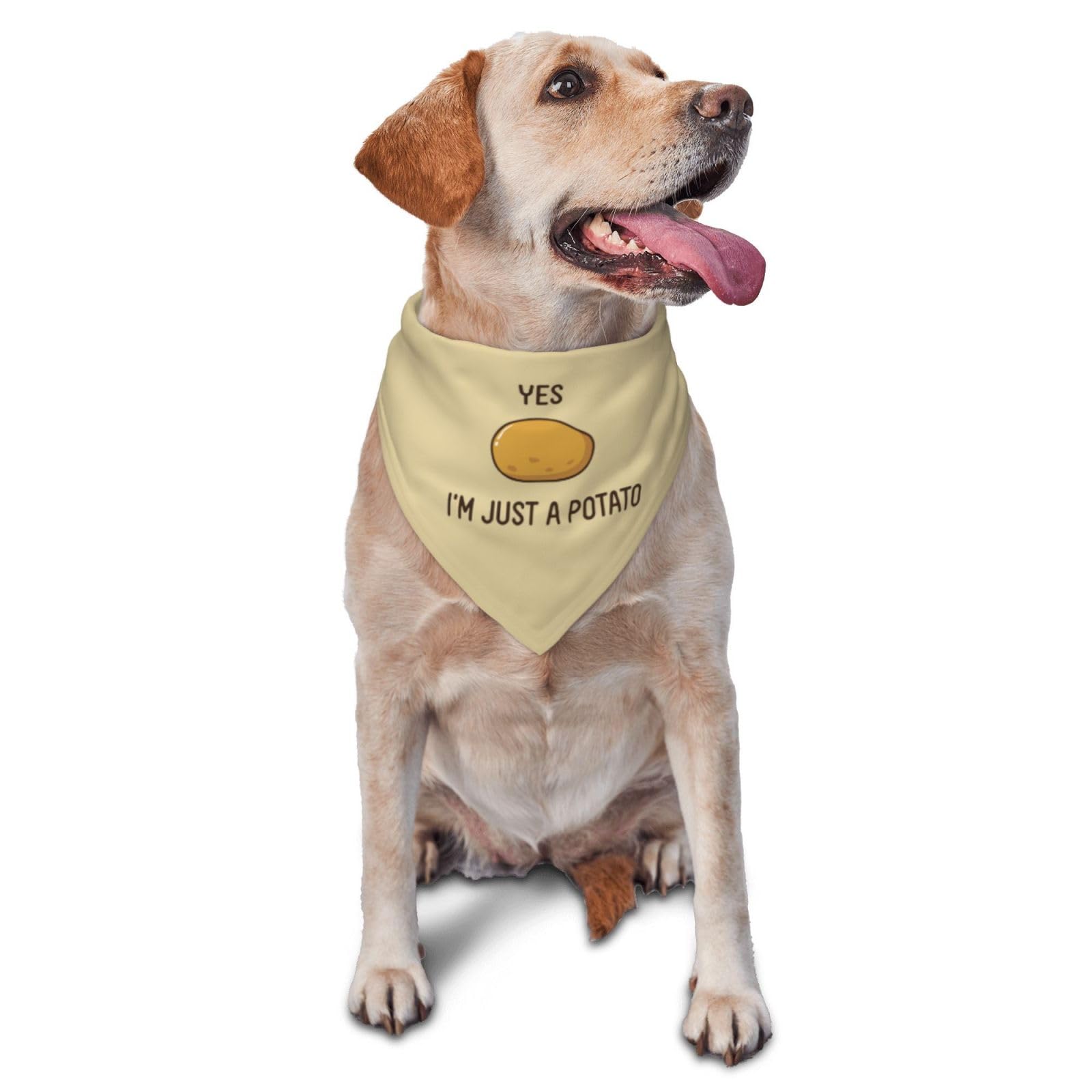 Bandana pour chien pomme de terre cuite au four lavable pour animal