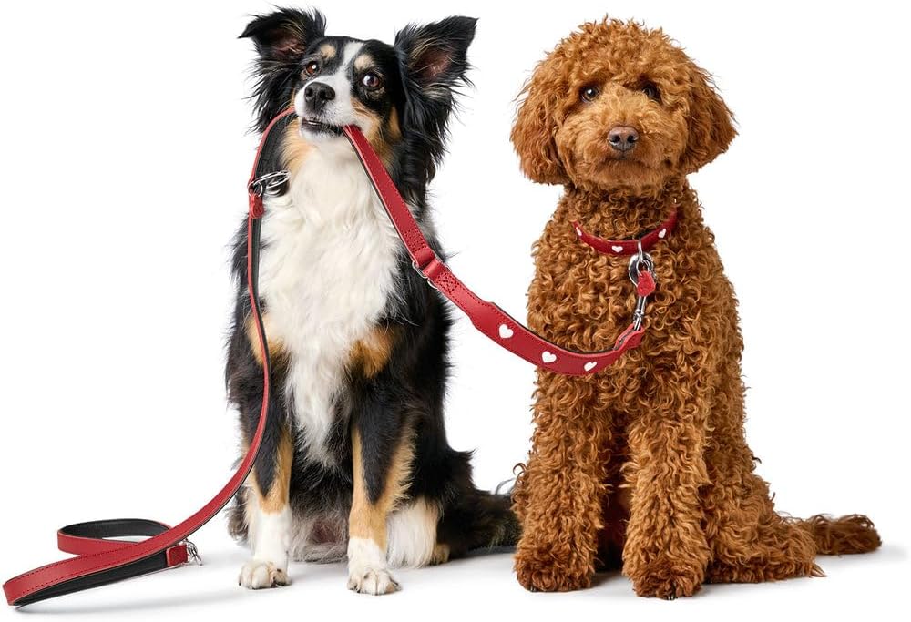 Hunter Red Leather Dog Leash 18/200