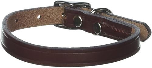 Collar Latigo plano de 12 x 14 pulgadas, mediano
