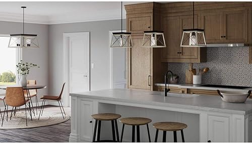 Miniatura 4 de Progress Lighting Briarwood Collection - Mini-colgante costero de 1 luz, grafito, negro