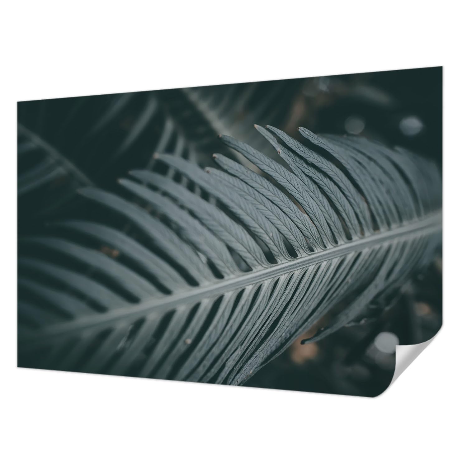 Décor mural adhésif lavable et décoration intérieure feuille verte sans taches